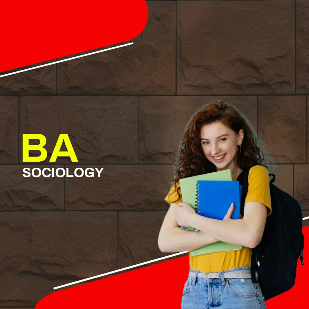 BA in Sociology