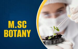 Msc in Botany