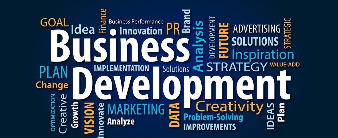 How to become Business Development Manager?